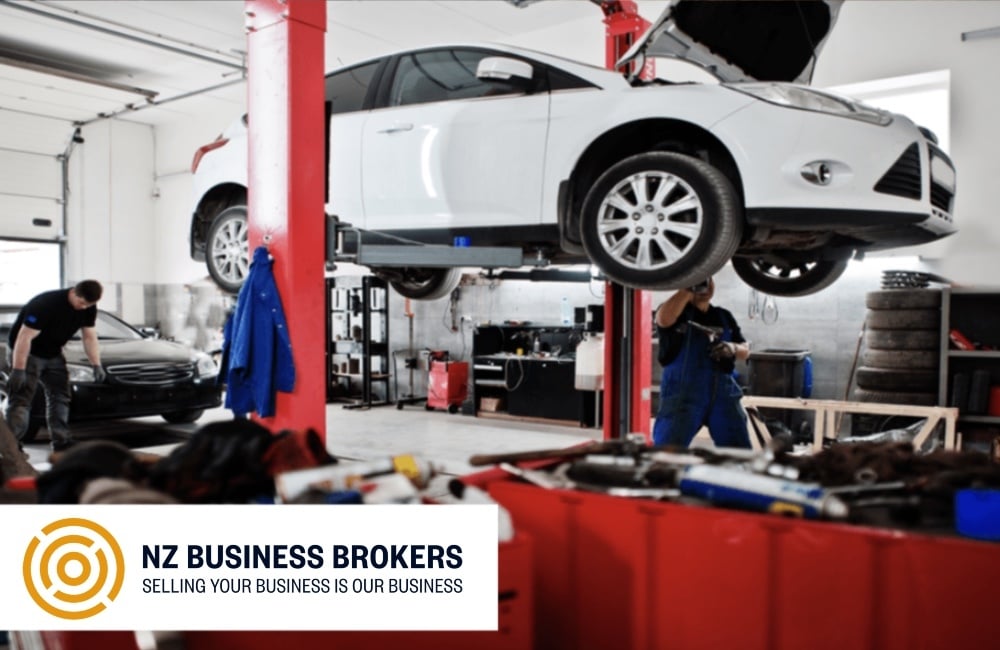 Mechanics servicing vehicles on hoists inside a Bay of Plenty automotive workshop
