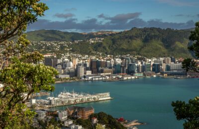 wellington